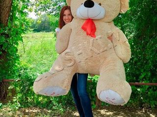 Плюшевые медведи гиганты 170 - 180 см! Бесплатная доставка по Кишиневу в течение 2х часов. foto 17