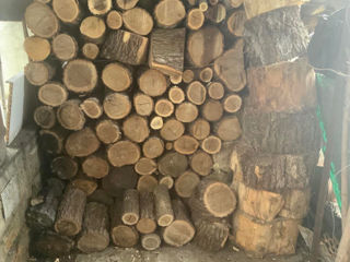 Продам дрова сухие резанные, а также метровки. Бельцы foto 2