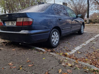 Nissan Primera foto 3