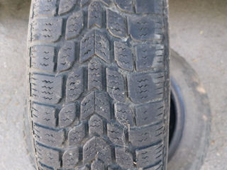 155/65 R14 фото 3