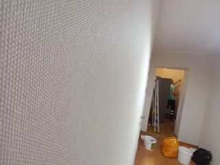 Tapeta lipire foto 3