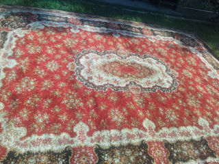 Новый Floare Carpet 3x4 foto 4