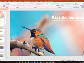 Proiect PowerPoint , PDF , la orice materie in orice limbă foto 5