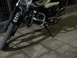 Alpha Moto Alpha RX NEW foto 4