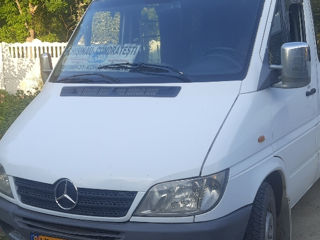 Mercedes Sprinter 313