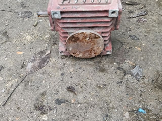 Наждак, редуктор foto 0