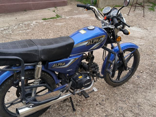 Alpha Moto foto 7