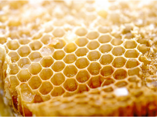 Мед в сотах. Воск. Другие продукты пчеловодства. foto 8