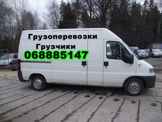 Грузоперевозки и грузчики foto 2