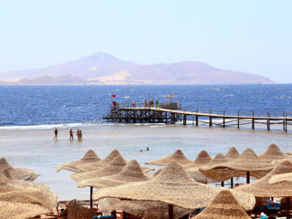 Египет! Rehana Sharm Resort Aqua Park & Spa 4*-480 € foto 2