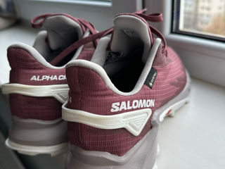 Salomon alpha cross, новые foto 4