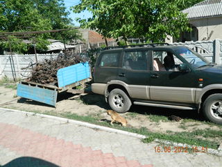 Nissan Terrano foto 8