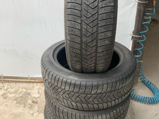 R19 255/50 Pirelli Scorpions