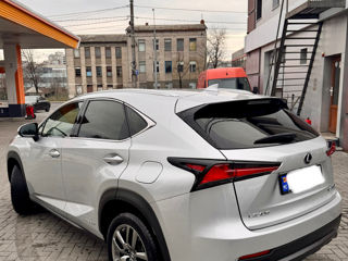 Lexus NX Series