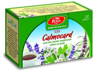 Ceai Matcha pulbere ecologica Чай Матча порошок foto 2