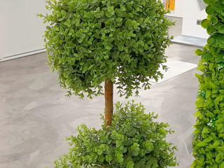 Plante decorative artificiale / Perete din plante artificiale foto 3