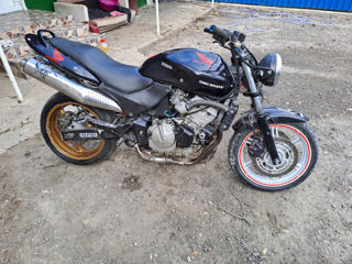 Honda Honda hornet foto 4