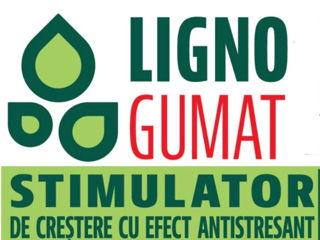 LIGNOGUMAT