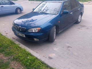 Nissan Primera