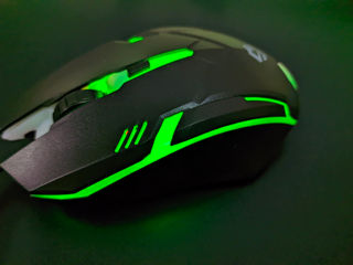 M179 Wired Mouse