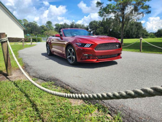 Ford Mustang foto 2