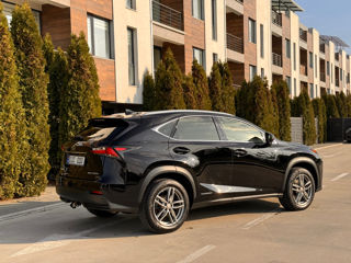 Lexus NX Series foto 8