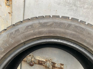 R19/55/275 Maxxis (Iarna) foto 7