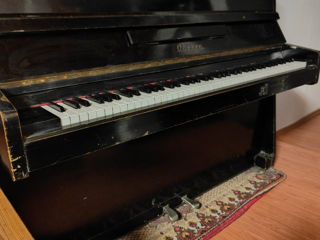 Pian odessa - пианино одесса фото 1