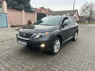 Lexus RX Series