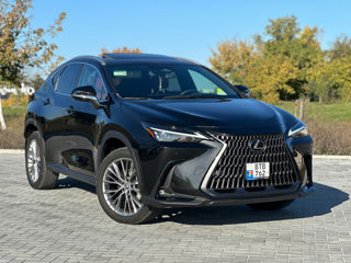 Lexus NX Series