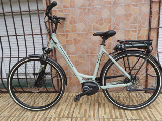 Biciclete foto 6