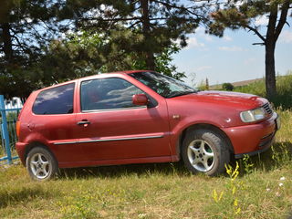 Volkswagen Polo foto 4