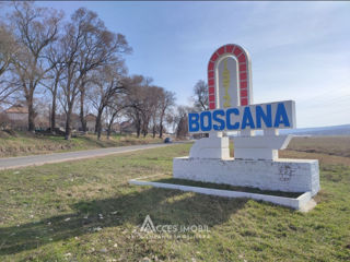 Lot de teren Boșcana,Criuleni foto 4