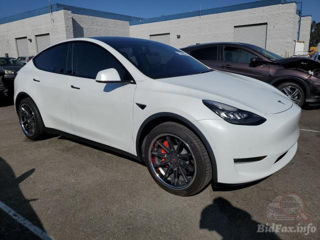 Tesla Model Y foto 4