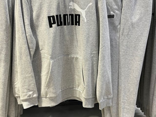 Puma XL