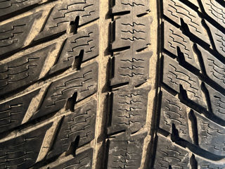 R21 295/35 Nokian WR foto 2