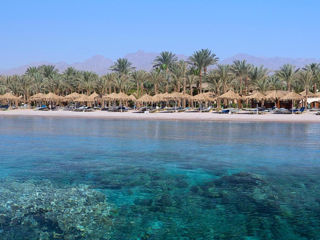 **Sharm Dreams by Jaz**Sharm El Sheikh-640 € foto 9