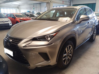 Lexus NX Series