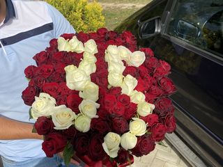 Розы в Молдове. Оптовые цены. Доставка по всей Молдове. foto 5