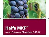 Haifa MKP / Monoamonium Fosfat / Haifa Chemicals Ltd. foto 2