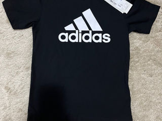 Adidas original, Polo