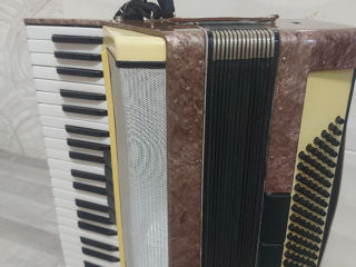 Acordeon