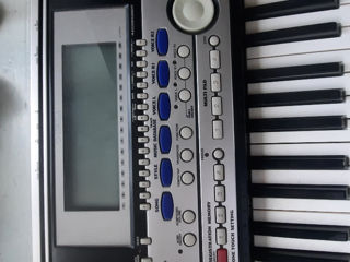 Yamaha psr 550 foto 4