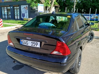 Ford Focus фото 1