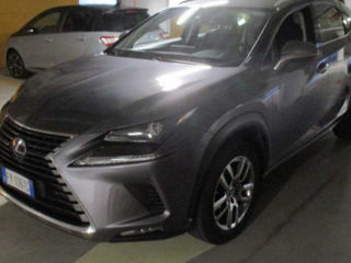 Lexus NX Series