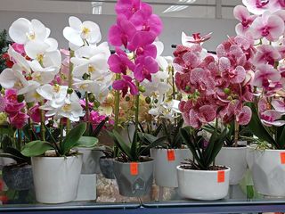 Искусственные цветы орхидея для домашнего декора./Flori artificiali foto 2