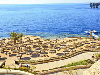 Egipt, Sharm El Sheikh - Reef Oasis Blue Bay Resort & Spa 5* foto 5