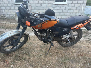 Viper 150cc foto 4