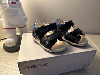 Geox 19 Noi