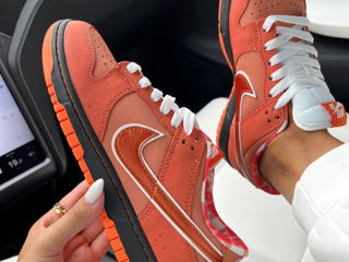 Nike SB Dunk Lobsters Orange Unisex 36-45 foto 7